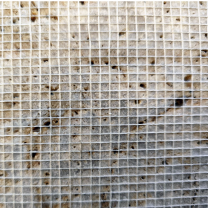 75g Fiberglass Mesh for Marble and Mosaic